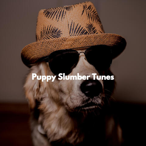 Puppy Slumber Tunes