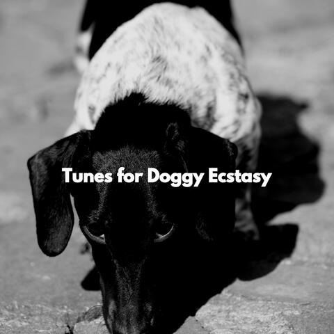 Tunes for Doggy Ecstasy
