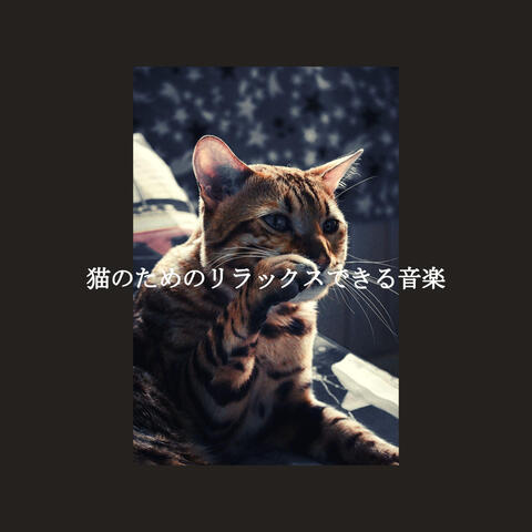 猫のためのリラックスできる音楽
