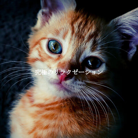 究極のリラクゼーション