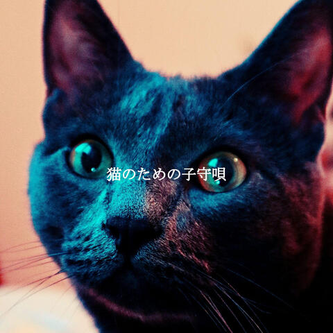 猫のための子守唄