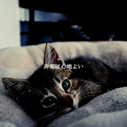 非常に心地よい