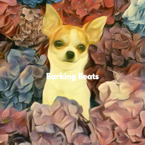 Barking Beats