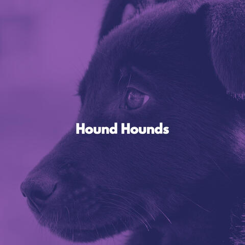 Hound Hounds