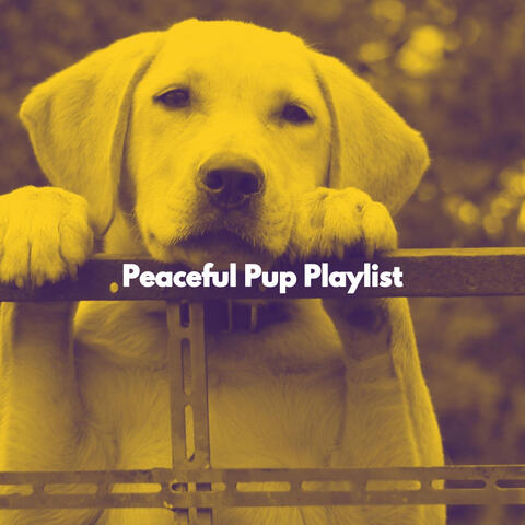 Peaceful Pup Playlist