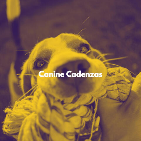 Canine Cadenzas