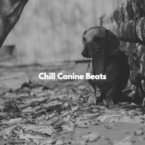 Chill Canine Beats