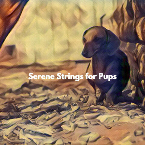 Serene Strings for Pups