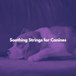 High-class Backdrops for Blue Skies