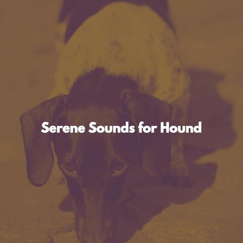 Serene Sounds for Hound