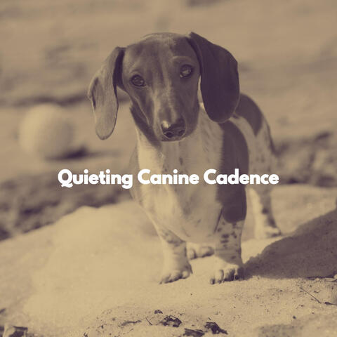 Quieting Canine Cadence