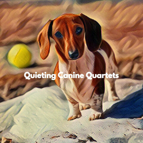Quieting Canine Quartets