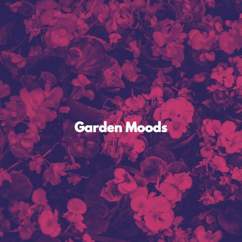 Garden Moods