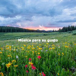 Peaceful Ambiance for Feeling Love