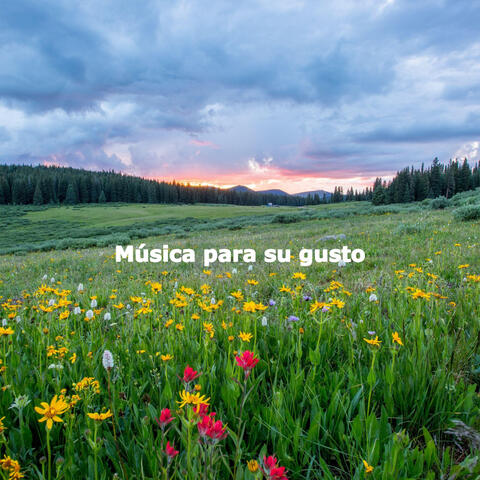 Música para su gusto
