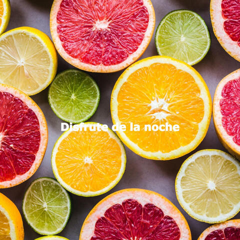 Disfrute de la noche