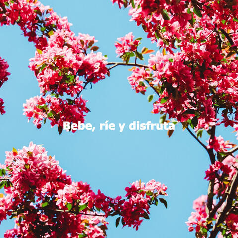 Bebe, ríe y disfruta