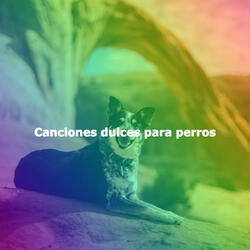 Simplistic Backdrops for Endless Heartbreak