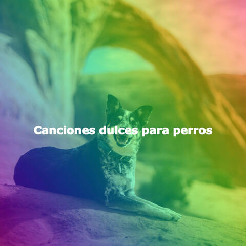 Canciones dulces para perros