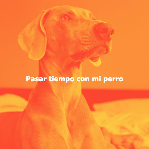 Pasar tiempo con mi perro