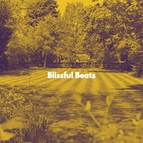 Blissful Beats