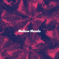 Sparkling Waltz - Vibe for Comfy Decembers