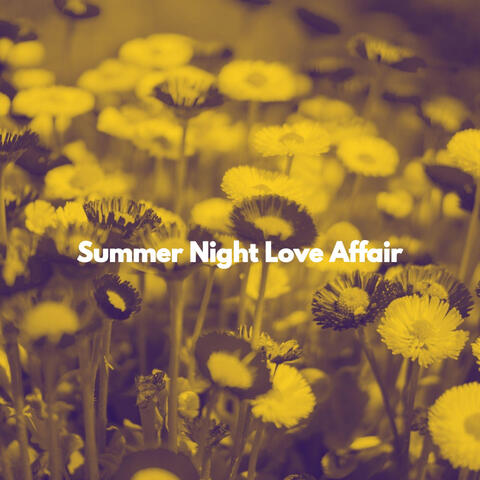 Summer Night Love Affair
