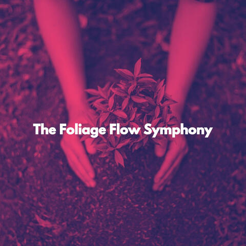 The Foliage Flow Symphony