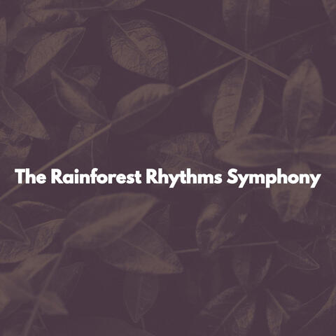The Rainforest Rhythms Symphony