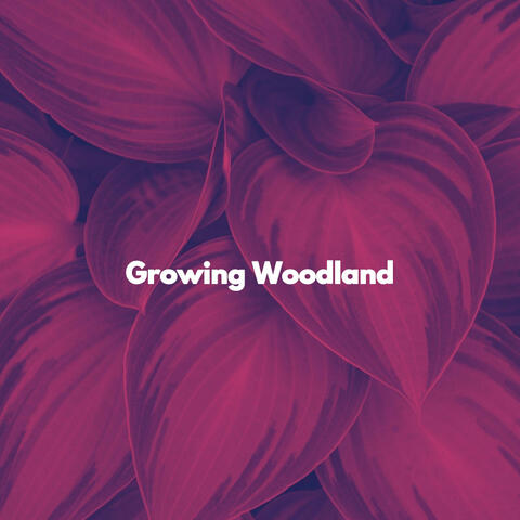 Growing Woodland