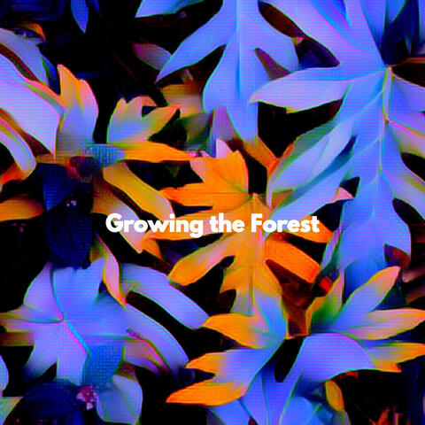 Growing the Forest