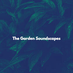 Wondrous Backdrops for Mellow Motivation
