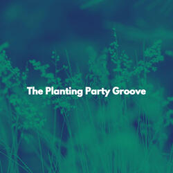 Wondrous Ambience for Mellow Motivation