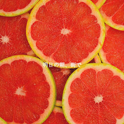 Mind-blowing Ambiance for Daily Work