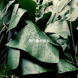 Dashing Ambience for Weekday Work Mode