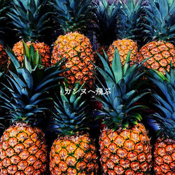 Quiet Backdrops for Wednesday Routines