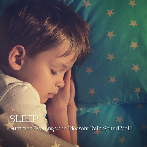 Sleep:  Summer Evening with Pleasant Rain Sound Vol. 1