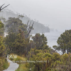 Nature Rain Collection