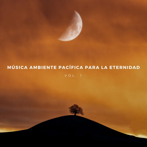 Música Ambiente Pacífica Para La Eternidad Vol. 1