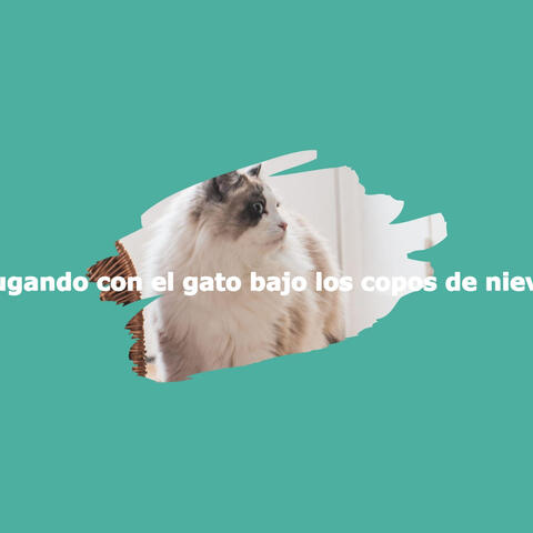 Jugando con el gato bajo los copos de nieve