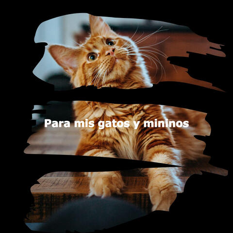 Para mis gatos y mininos