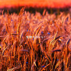 Trio Jazz Soundtrack for Intense Focus