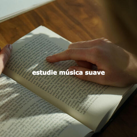 estudie música suave