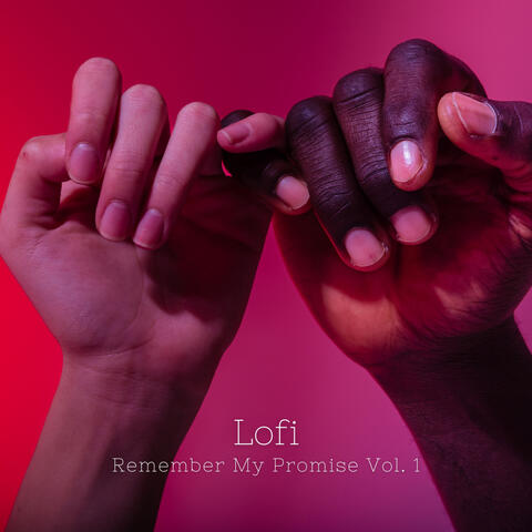 Lofi: Remember My Promise Vol. 1