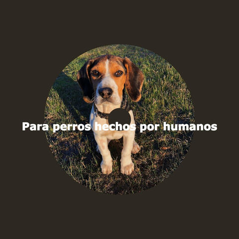 Para perros hechos por humanos
