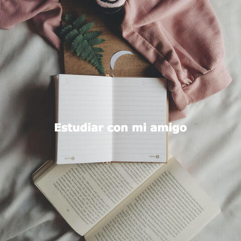 Estudiar con mi amigo