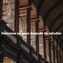 Smart Ambience for Little Tokyo