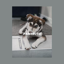 High-class Ambiance for Classical Chillout
