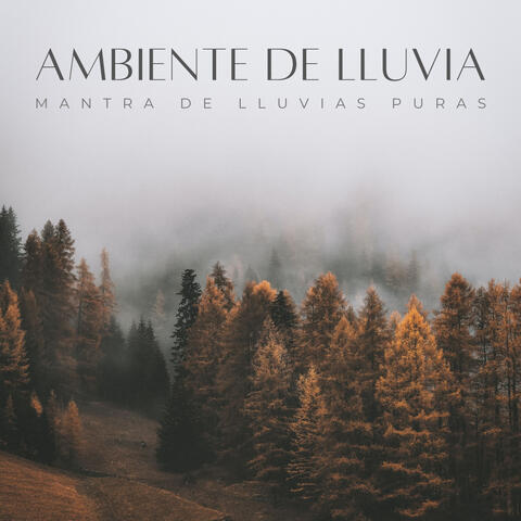 Ambiente De Lluvia: Mantra De Lluvias Puras
