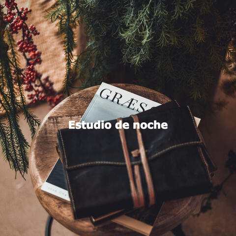 Estudio de noche